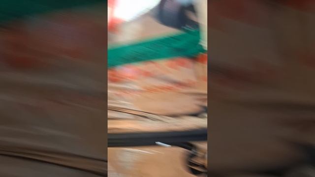1000027113.mp4 (Собака слушает об экономии затрат на э/проводку в доме А-фрейм)