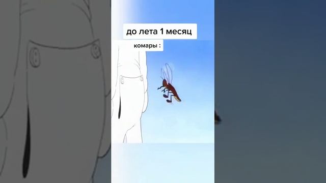 Похоже, только они подготовились к лету