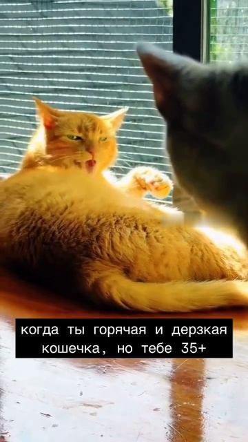 Спалила себя с потрохами 🤣