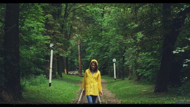 Саунд окутывает, как туман над лесами - Hide -- Crowander -- Uplifting Funband (poprock)