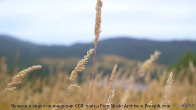 Пейзажи и ритмы вместе дарят личный восторг - Things Change -- HoliznaCC0 -- Forager Pt 2