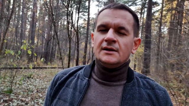 Что такое волатильность в торговле форекс