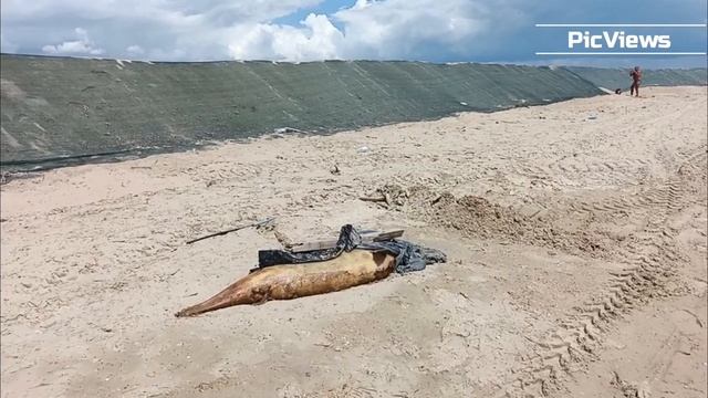 Анапа пляж Витязево сегодня 23 июня 2025. Море, погода в Анапе сейчас. Есть ли мазут на пляжах Анапы