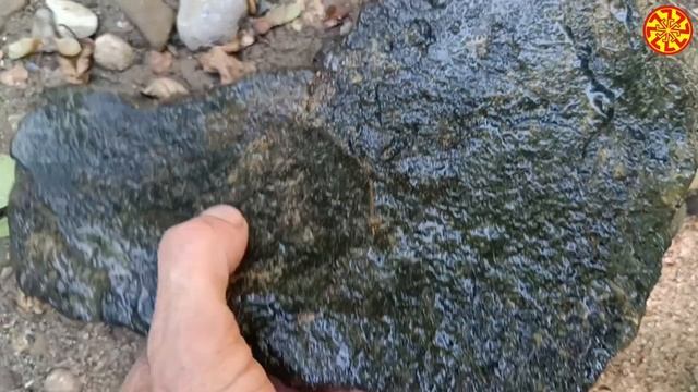 Вероятно это фрагмент кости гигантского доисторического существа 🔥🔥🔥