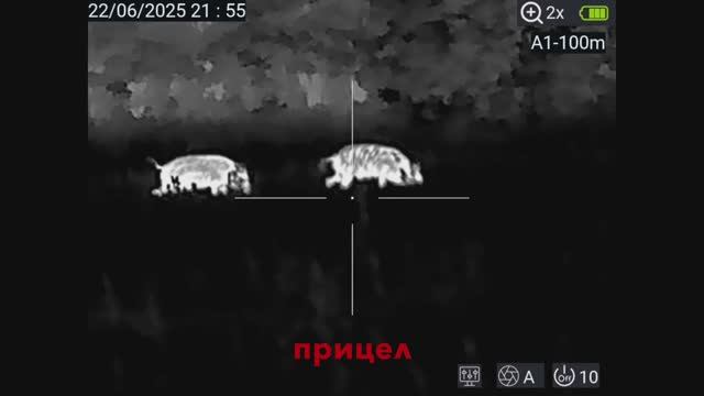 Охота в Лаосе. Или Камбодже...