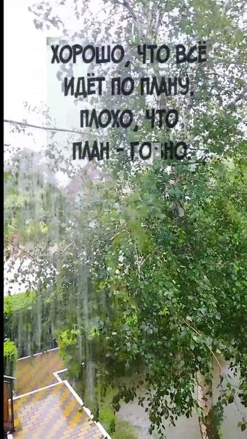 План