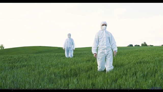 Голова кружится от сочетания звука и полей - Stay Down (Ride Your Wave) -- Tadz -- My Way, All Day,