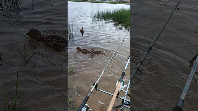 1000005250.mp4
