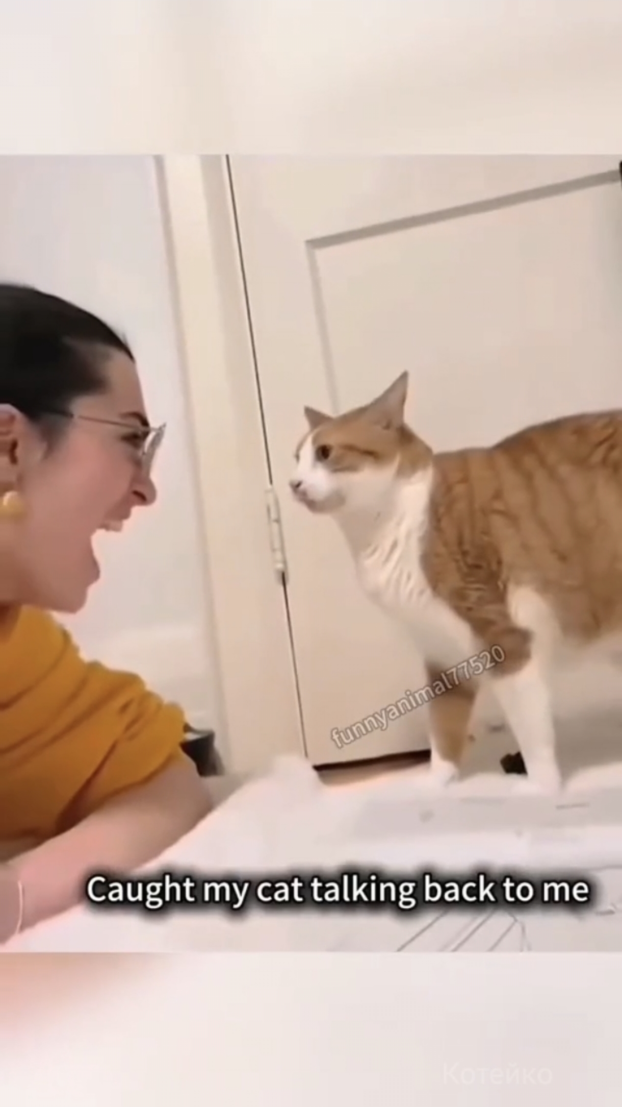 Кото повторятор