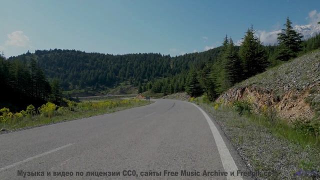 Эта музыка заставит вашу кошку говорить - попробуйте! - Невзялазь -- Фиорд -- Невзялазь