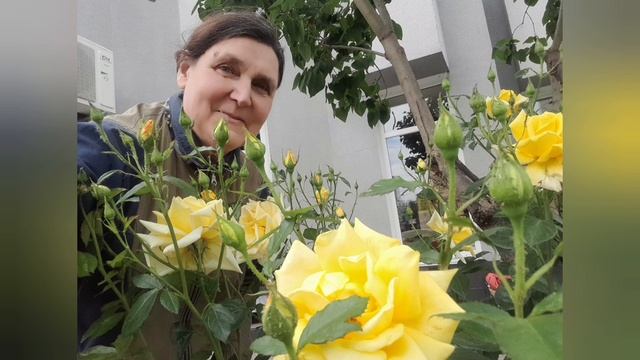 Цветы.                   Flowers.