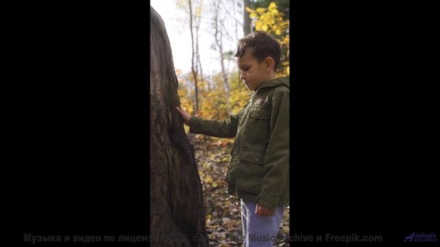 Эта песня звучит так, будто её написал сам ветер в горах! - Sleeping is Sadness -- SUPERARE -- II