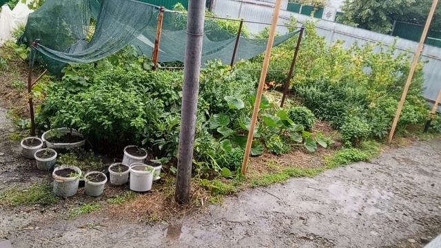 Преображаю асфальт