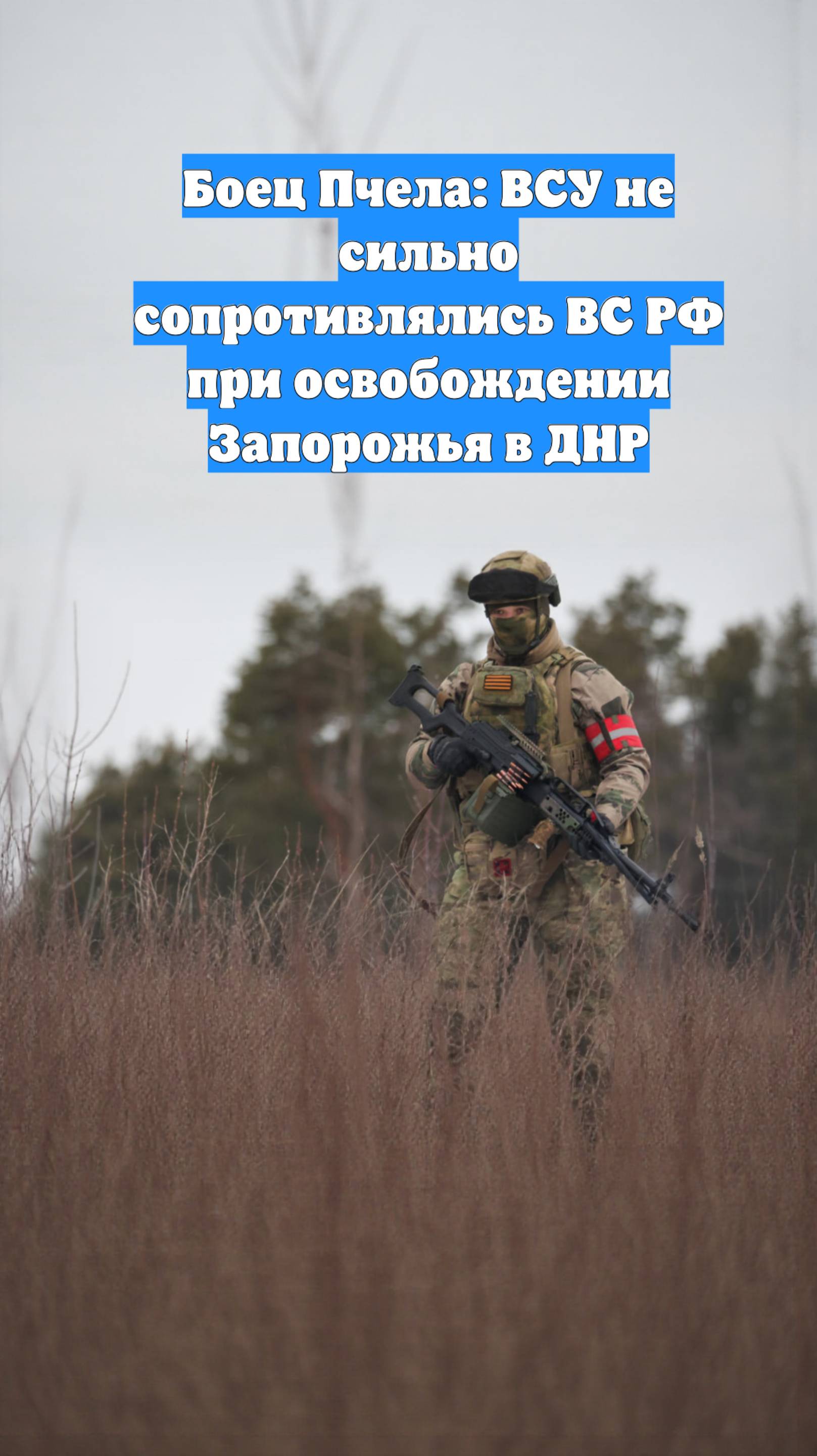 Боец Пчела: ВСУ не сильно сопротивлялись ВС РФ при освобождении Запорожья в ДНР