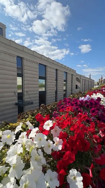 Квартира с видом на Кремль
