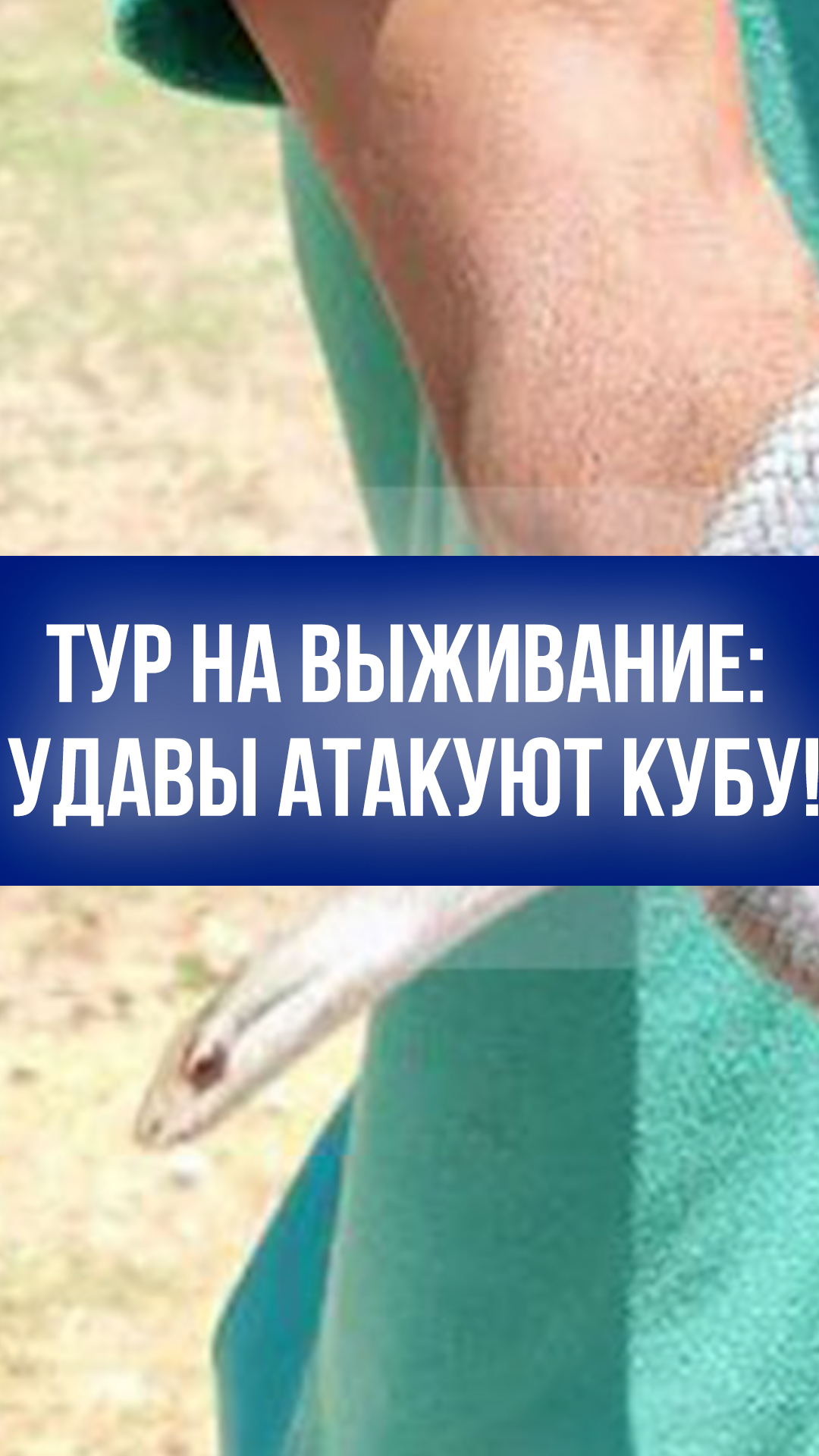Кубинский кошмар: удавы атакуют отели – туристам не до отдыха, балконы под запретом!