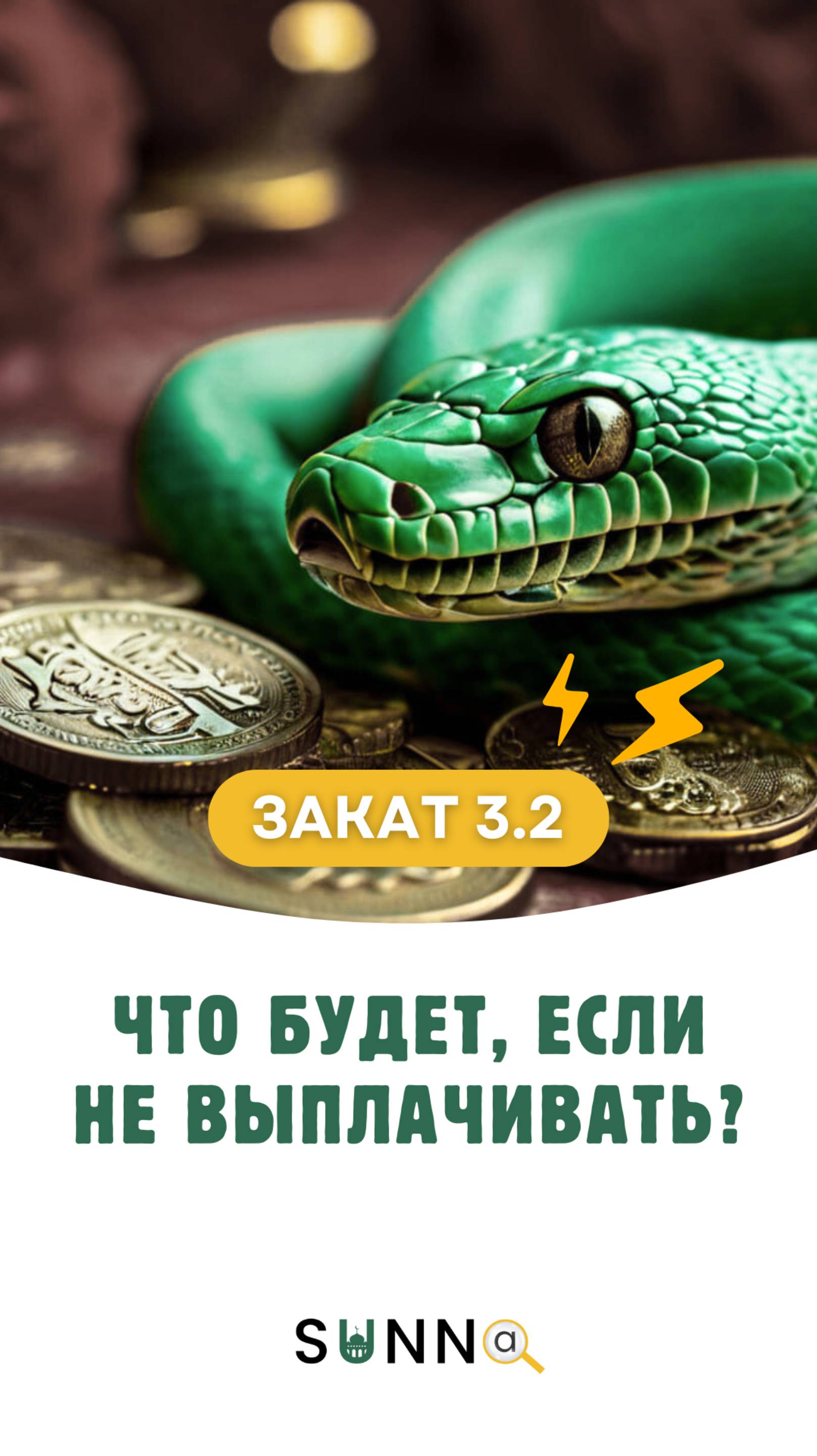Закат [3.2] Обязательные виды имущества