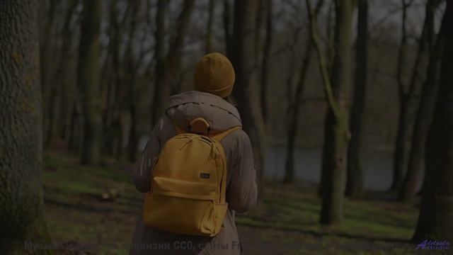 Эти пейзажи созданы для того, чтобы влюбляться снова и снова... - Flowers Dont Say Anything, They Ju
