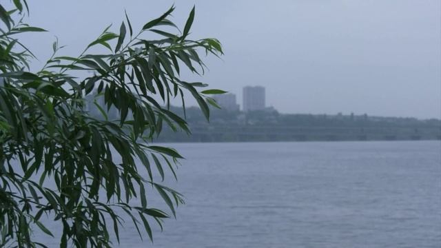 Ни на одном из воронежских пляжей купаться нельзя