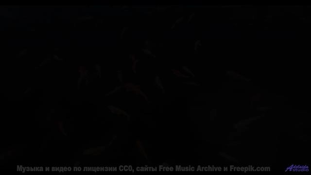 Душа вылетает из тела при таких пейзажах и звуке - I Need Love -- PLANET WARDO -- Single Slices