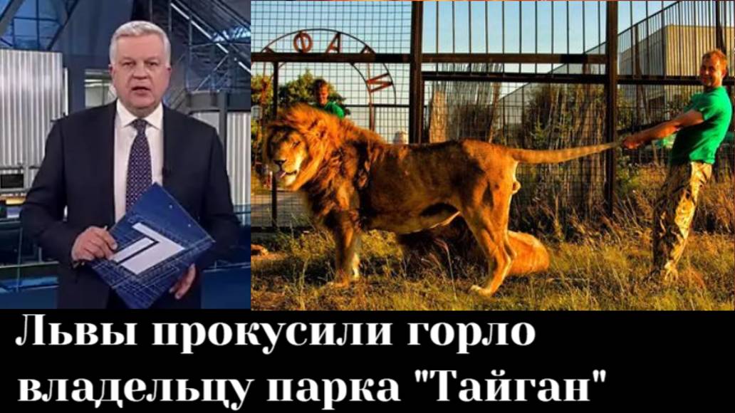 Директор "Тайгана" Зубков находится в тяжелом состоянии после нападения льва