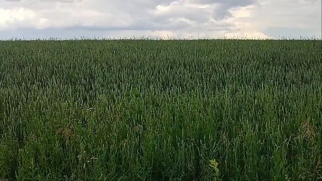 От людей на деревне не спрятаться