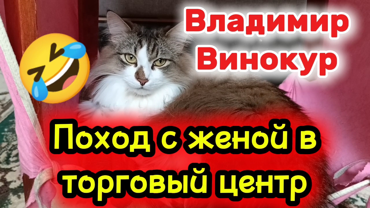 Юмор. Поход с женой в торговый центр. В. Винокур.