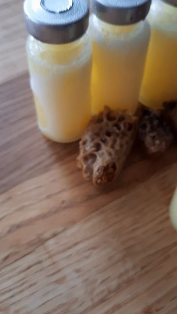 маточное молочко натуральное