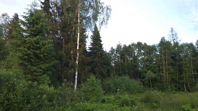 1000062010.mp4