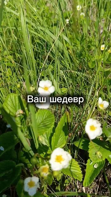 мудрость жизни для жизни #мудрость #мотивация #мысли #идеи #счастье #жизнь #личность #коучинг #мир