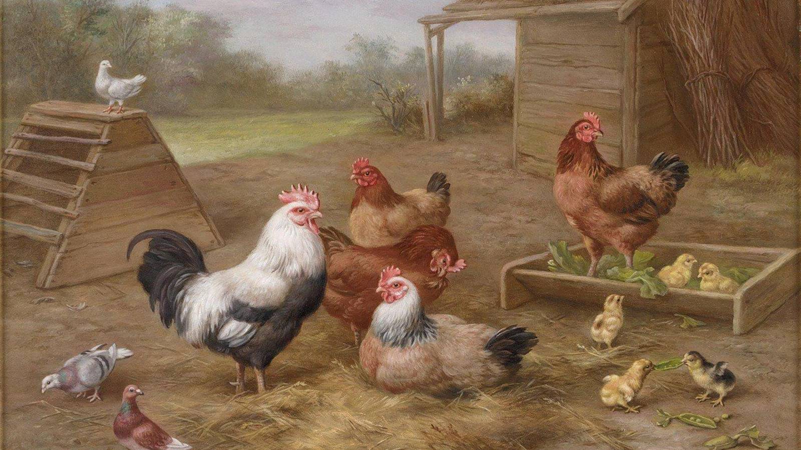 НАШ ПТИЧИЙ ДВОР -