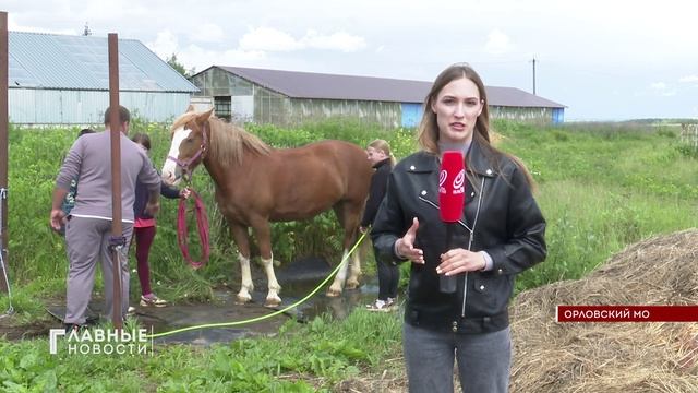 Дети из семей орловских участников СВО побывали на конюшне!
