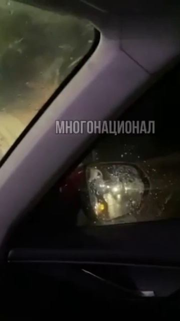 «Я тебе сейчас порву твою корочку»  В Волгограде семейная пара абу-бандитов сбила местного чиновника