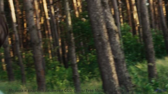 Эта мелодия создаёт мир, в котором хочется остаться - To the lands Beyond the Sun -- Ihsan + The Cab
