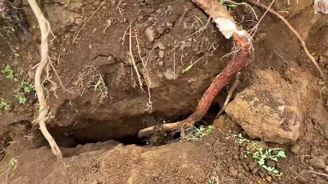 Строительство, шахтёры пытаются обвалить утёс в целях безопасности