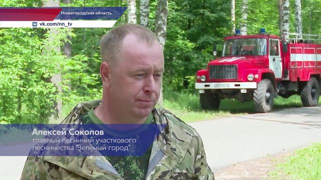 С началом пожароопасного сезона специальные мобильные группы выезжают на патрулирование лесов