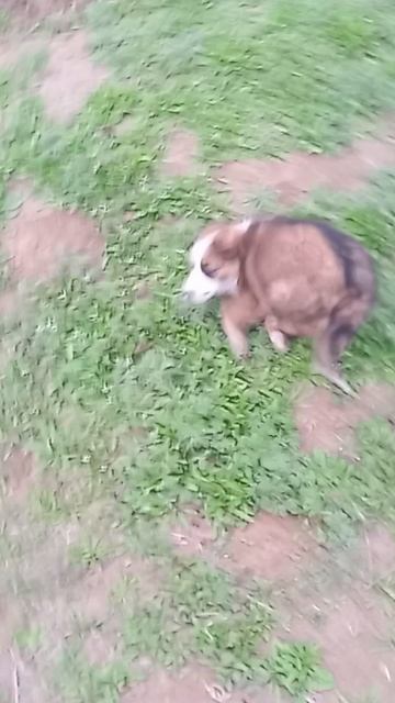 новая видео