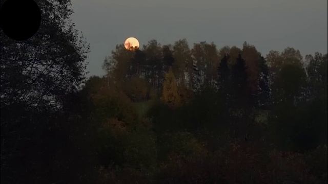 Природа здоровье