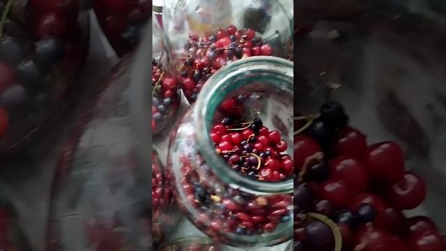 #закрываю компот вишнево-смородиновый#