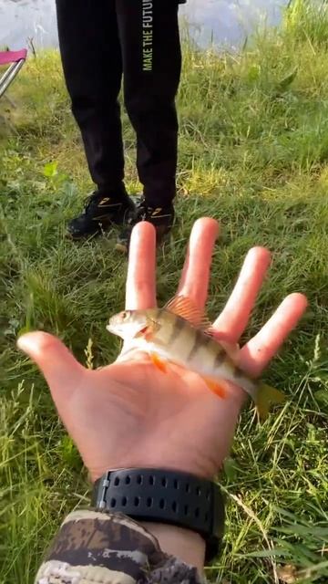 Первая рыба в жизни!! #рыбалка #fishing #рыбак #дети #охота #трофей #carpfishing