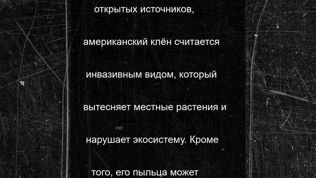 В мэрии Рязани прокомментировали вырубку деревьев в Лесопарке