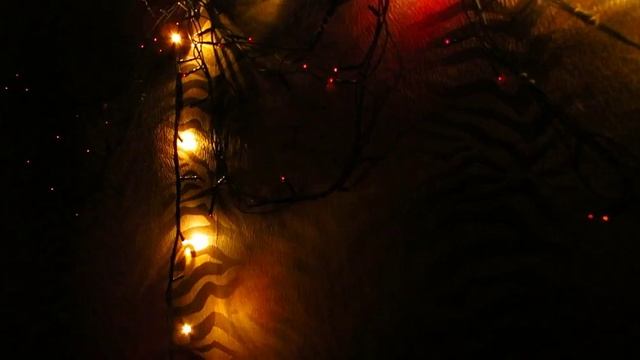 гирлянда  под ритм злой трек  5 Rec 2022-11-29 00;54;55