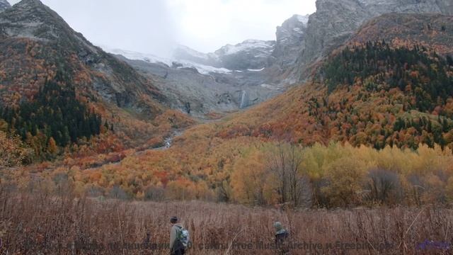 Илон Маск ставит это видео на репит - и мы знаем причину! - Unfocused -- Ketsa -- Through to Fall