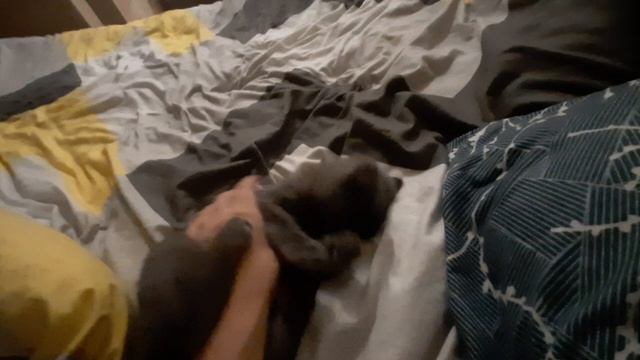 Я не устал ещё полон сил, хотя время подходит ко сну)