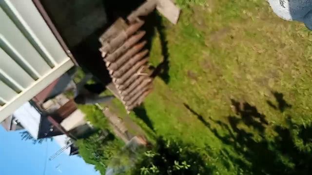 бомжи 6