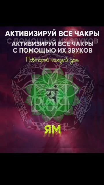 ЕЖЕДНЕВНАЯ ПРАКТИКА ЕДИНСТВА 🙏