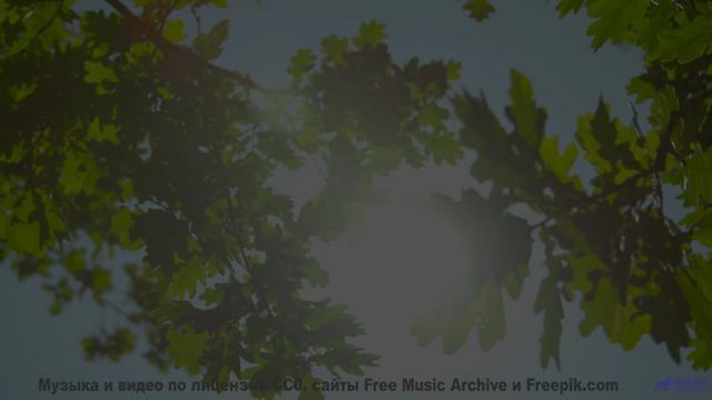 Музыка, написанная алгоритмом - сможете ли вы отличить от человеческой - An Evening In Space -- Kirk