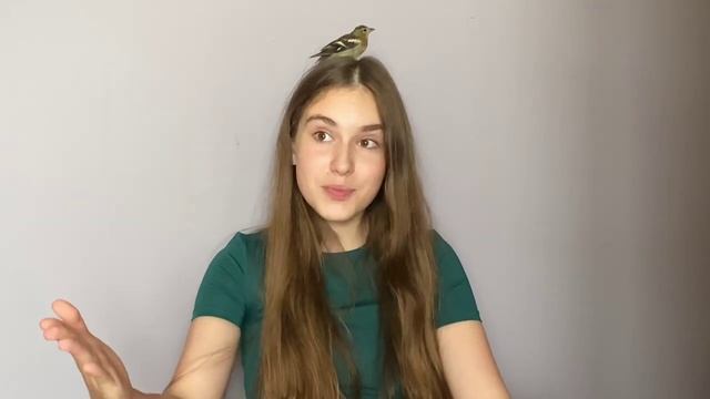 Лиза Пахомова, визитка