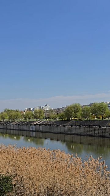 У реки Везёлка в Белгороде