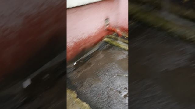 Не получилось погулять...